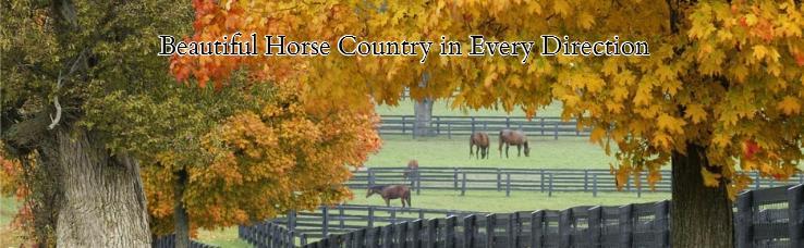 Beautiful Horse Country in Every Direction